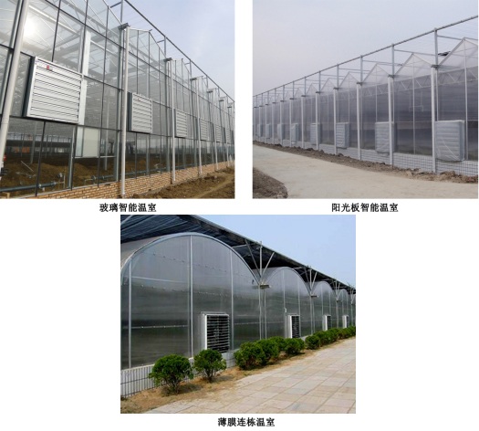 玻璃智能溫室、陽光板智能溫室、薄膜連棟溫室