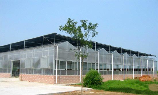 山東淄博梓橦山滑雪場(chǎng)生態(tài)餐廳（陽(yáng)光板智能溫室）