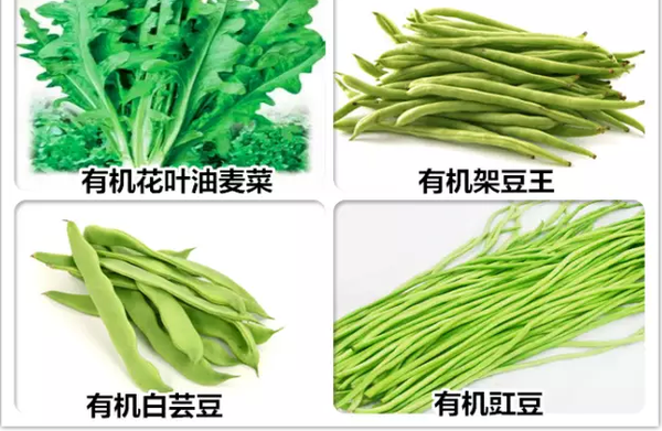 什么是有機(jī)蔬菜？